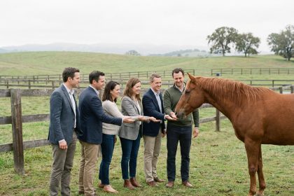 Groupe de managers divers rencontrant un cheval au paddock